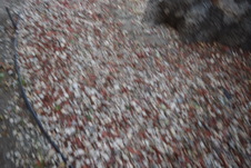 Enlarge photo 744