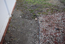 Enlarge photo 745