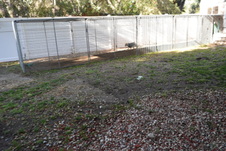 Enlarge photo 746