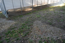 Enlarge photo 750