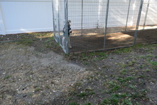 Enlarge photo 751