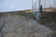 Enlarge photo 752