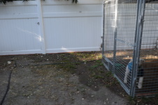 Enlarge photo 753