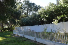 Enlarge photo 815