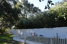 Enlarge photo 817