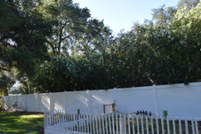 Enlarge photo 818