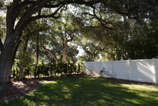 Enlarge photo 821