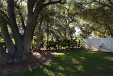 Enlarge photo 822