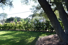 Enlarge photo 824