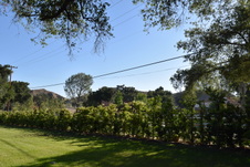 Enlarge photo 825