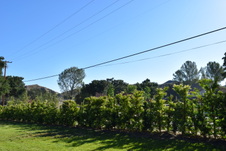 Enlarge photo 826