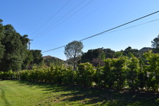 Enlarge photo 827