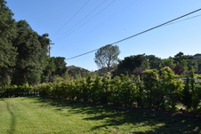 Enlarge photo 828