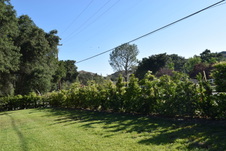 Enlarge photo 829