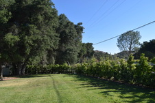 Enlarge photo 830