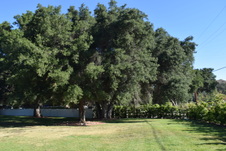 Enlarge photo 831