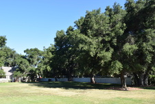 Enlarge photo 832
