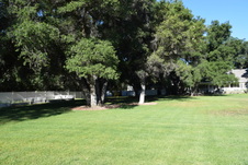 Enlarge photo 836