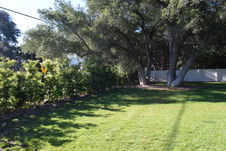 Enlarge photo 839