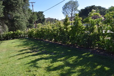 Enlarge photo 840