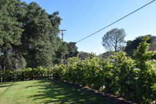 Enlarge photo 841