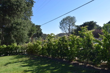 Enlarge photo 842