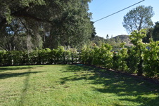 Enlarge photo 843