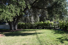 Enlarge photo 844
