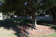 Enlarge photo 846