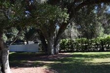 Enlarge photo 847