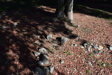 Enlarge photo 848