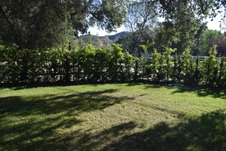 Enlarge photo 850