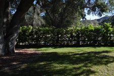 Enlarge photo 851