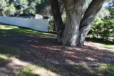 Enlarge photo 853