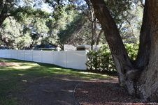 Enlarge photo 854