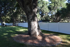 Enlarge photo 858