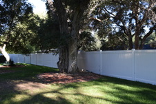 Enlarge photo 866