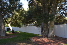 Enlarge photo 867