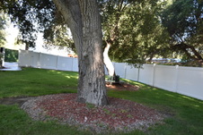Enlarge photo 869