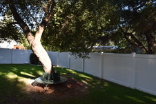 Enlarge photo 871
