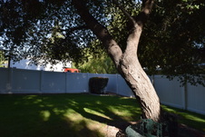 Enlarge photo 873