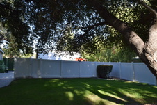 Enlarge photo 874