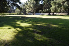 Enlarge photo 892