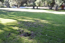Enlarge photo 893