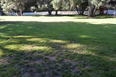 Enlarge photo 894