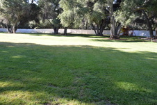 Enlarge photo 895