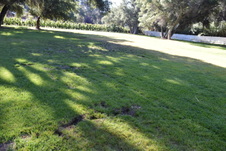 Enlarge photo 896