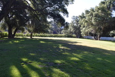 Enlarge photo 897