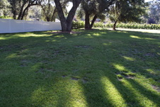 Enlarge photo 898