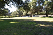 Enlarge photo 901